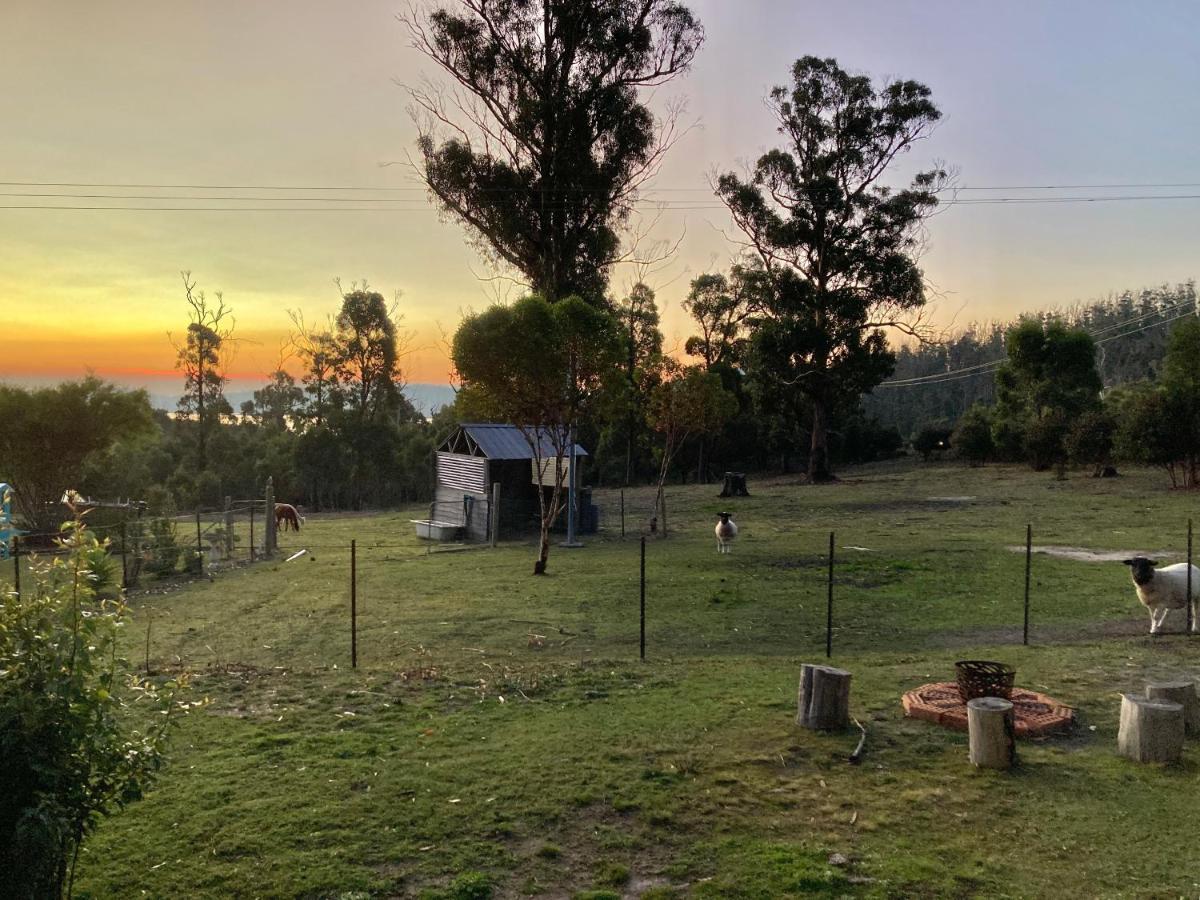 Winganah Cottage Murdunna Dış mekan fotoğraf